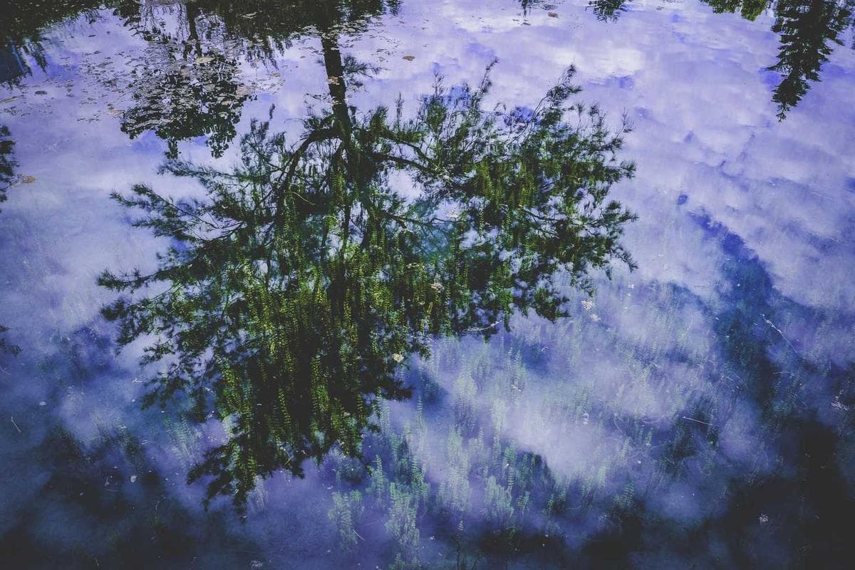 ABD’de Mimarlık Eğitimi ‘Profesyonel Derece’ Statüsünü Kaybedebilir